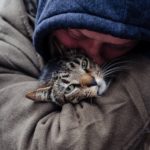 Mye Hoang — Director of the A-Meow-Sing Documentary <i>Cat Daddies</i>